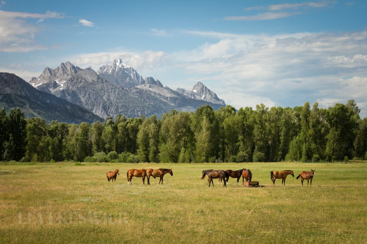 How To Choose The Right Place To Buy In The Countryside