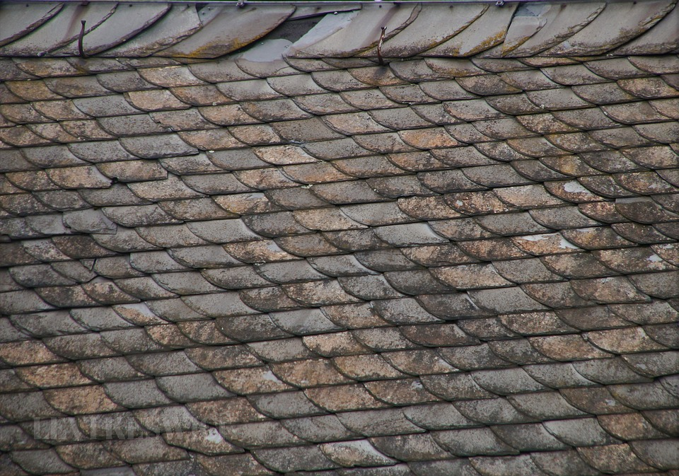 How To Spot Roof Damage Before It's Too Late