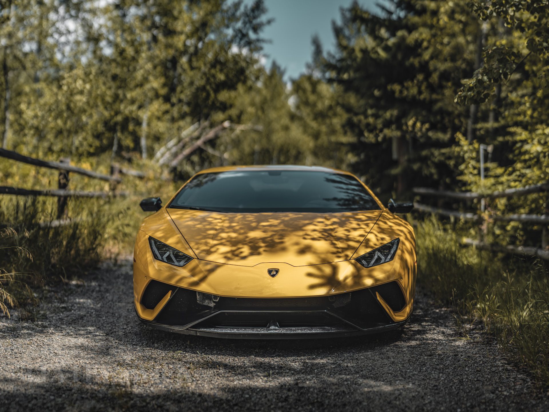 Photo by Kevin Fitzgerald on Unsplash