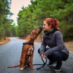 Animal Care: The Benefits of Fostering Dogs